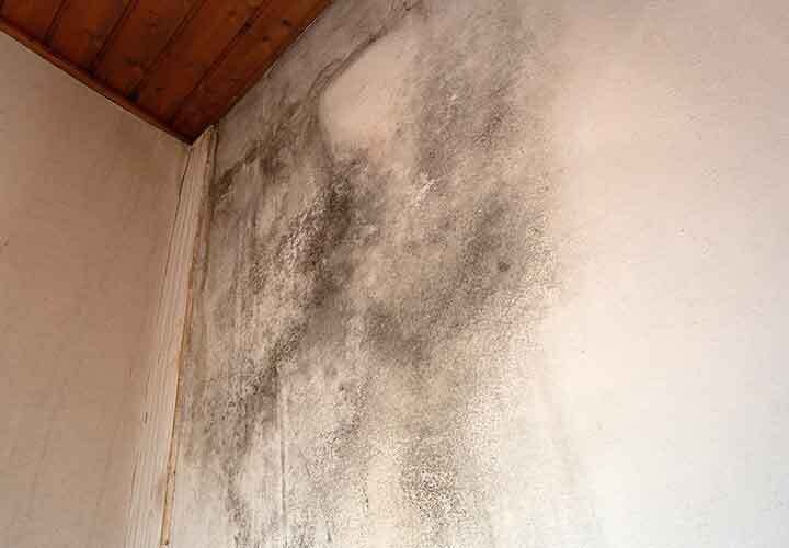 Identifying and Correcting Crumbing Insulation, Kent